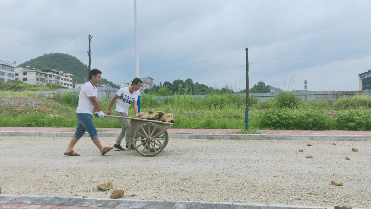 建筑工程学院毕业班学生为学校作贡献(图5)