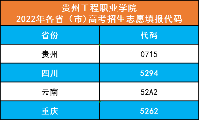 易倍体育-易倍中国有限公司官网2022年各省（市)高考招生志愿填报代码(图1)